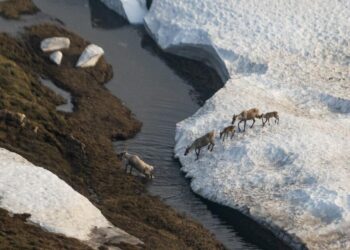Alaska: Both Climate Victim and Culprit, with Trump 2.0 Likely to Exacerbate Issues
