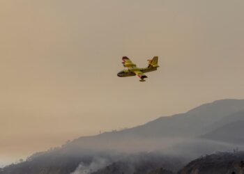 Assistance Played a Key Role in L.A.’s Firefighting Success—Relying on Luck Isn’t Enough