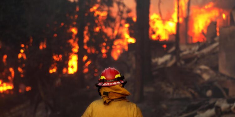 ‘Nature’s Vast Power Highlights the Necessity for Unity in the Face of Fires’