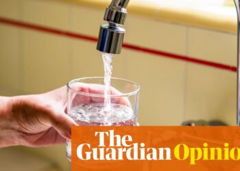 The Guardian’s Perspective on Chemical Pollution: The UK’s Urgent Need to Address PFAS Risks | Editorial