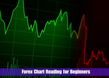 A Beginner’s Guide to Reading Forex Charts