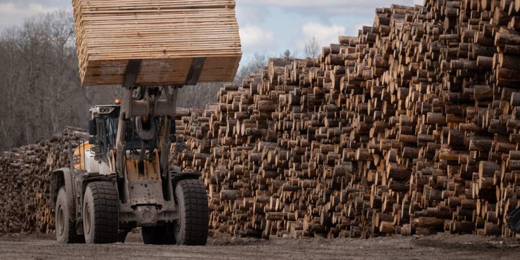 Trump Initiates New Trade Dispute With Canada Concerning Lumber
