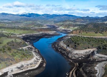DOGE and Trump Halt Revival Efforts in the Klamath River Basin, According to Contributor